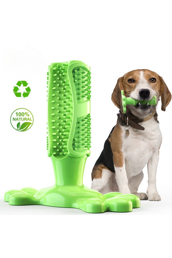 Dog toy for brushing teeth clearance