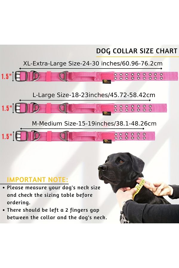 Choice Heavy Duty Dog Collar with Handle Durable and Reflective Collar for Large Dogs Perfect for Tra. Trendyol