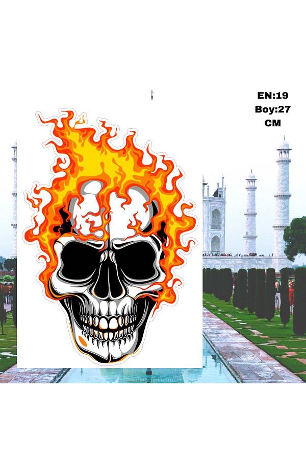 Phoenix-Phoenix Sticker - Cured Head, Flame Motor Bike, Vehicle Laptop Sticker Decal 1