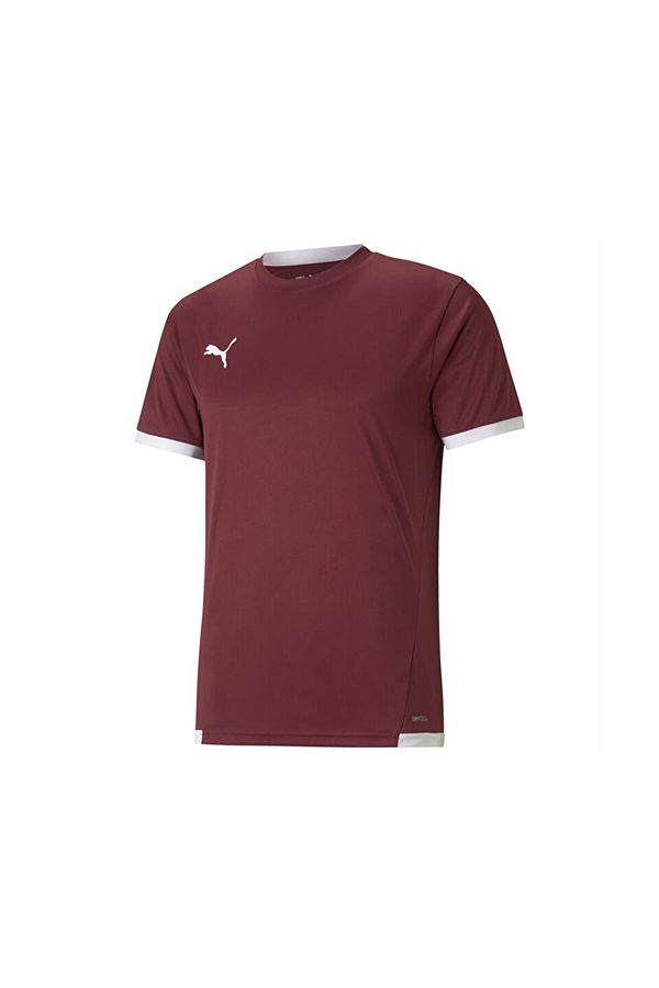 Puma-Men's Football Jersey Teamliga Jersey -70491709 Claret Red 1