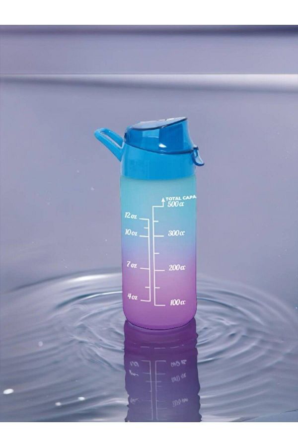 bt pasifik-500 ML Patterned Painted Flask 1
