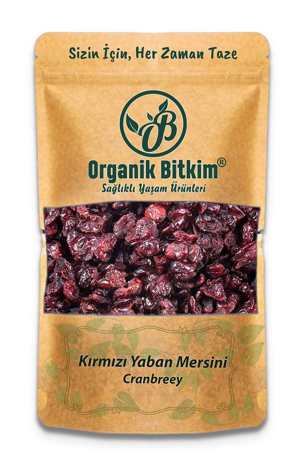 Organik Bitkim-Blueberry Dried 250 gr 1