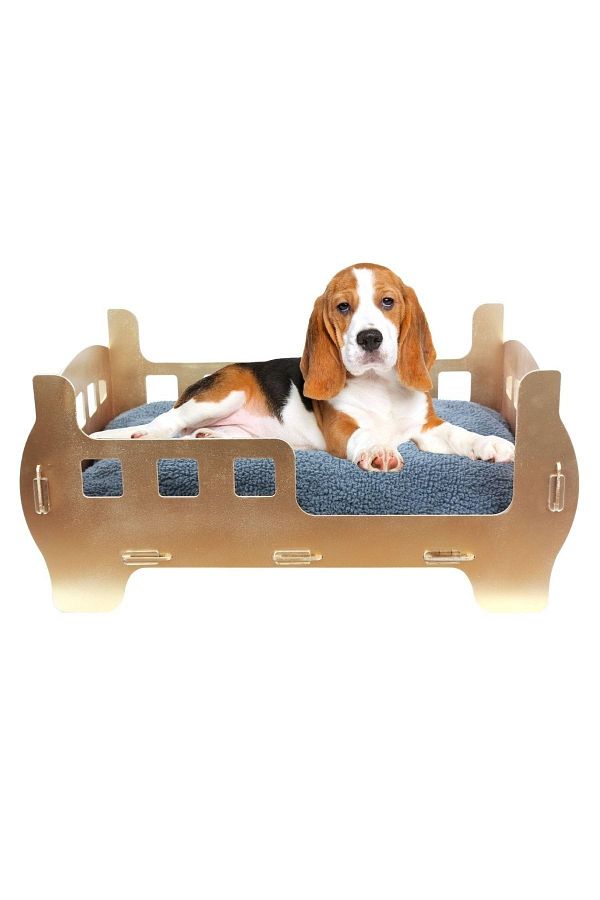 Evene Wooden Large Cat Bed Premium Quality Gold Cat House 60x40 Cm Gold Foil Painted Plain Model Trendyol