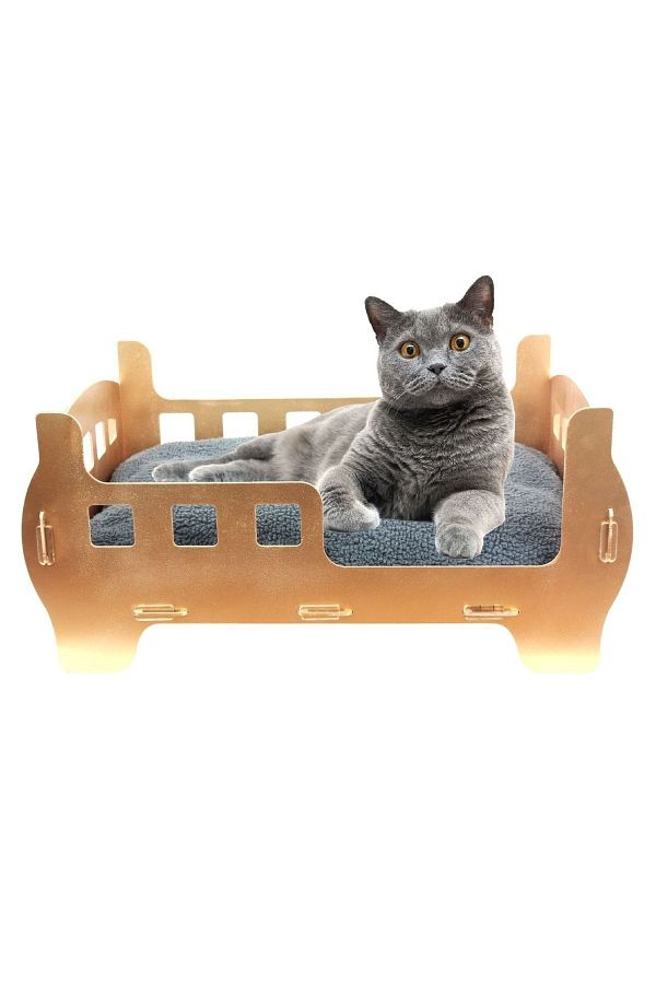 Gold cat bed cheap