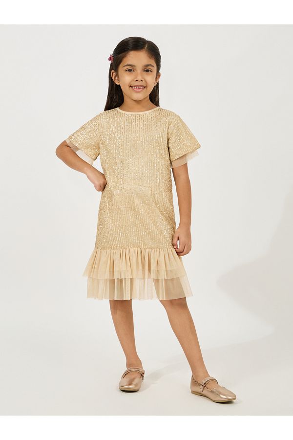 Styli-Sequined A-Line Dress with Mesh Insert 1