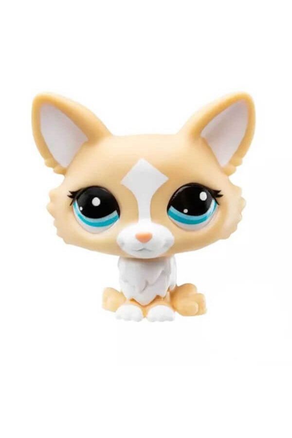 OyuncaklarUlkesi Littlest Pet Shop LPS New Series Corgi Dog Mini Single Toy Figures 12 Trendyol