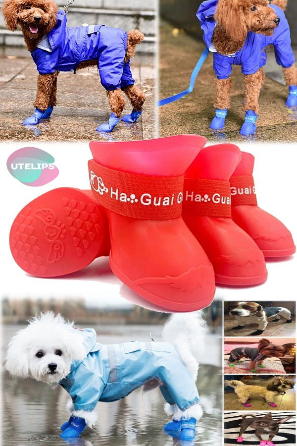 Guai guai dog boots outlet