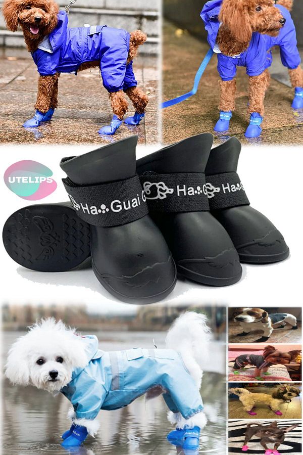 Utelips Foot Cover Waterproof Dog Rain Shoes For Small Medium Dogs Pet Shoes Rubber Boots Trendyol