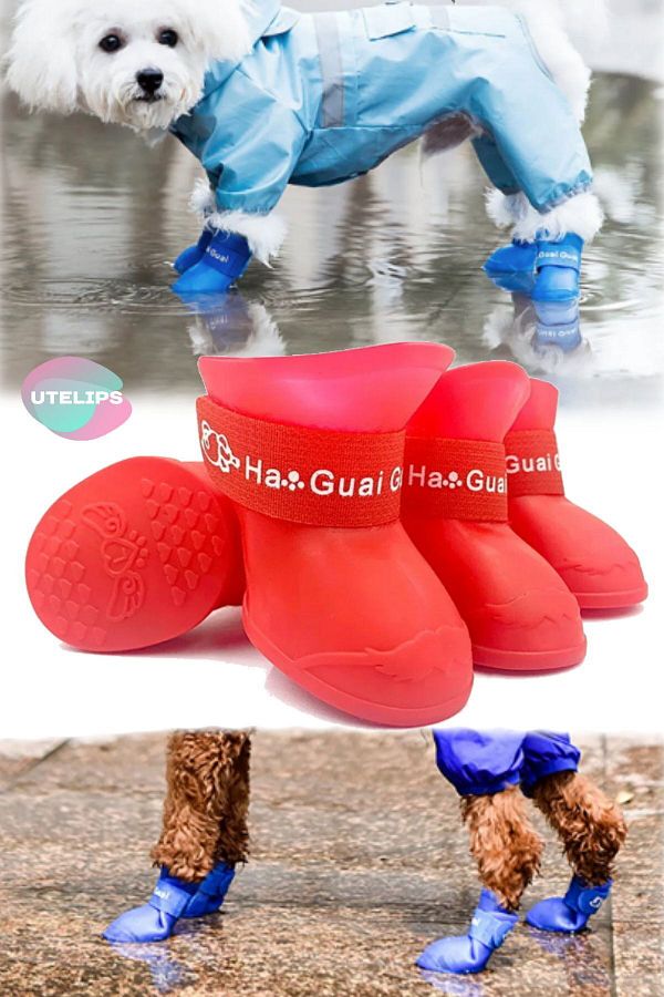 Non skid booties for dogs deals
