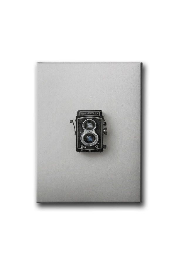 Desenlio-Nostalgia Camera Canvas Painting 1