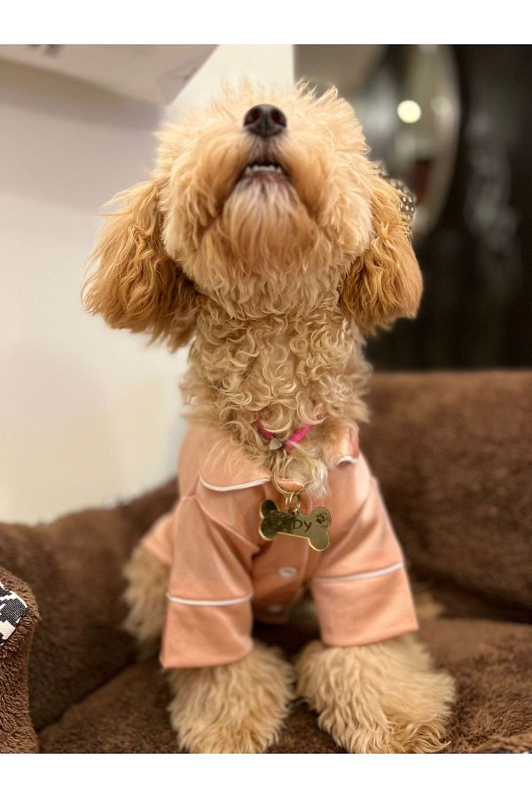 PETITE Dog Pajamas Dog Clothes Trendyol
