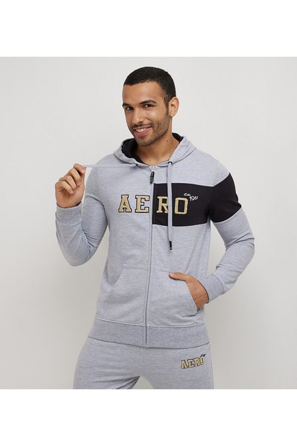 Aeropostale Men s Gray Color Block Hoodie Trendyol