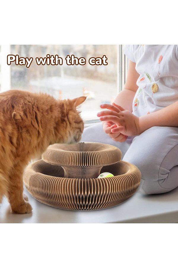 FRAME 34-Cat Scratching Toy, Magic Cat Toy, Rattle Scratching Board, Cat Toy 1