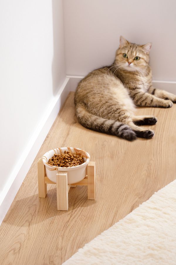 relaxco decoration pet furniture Ceramic Cat Dog Food and Water Bowl With Wooden Stand Elevated Decorative 1 Piece Trendyol