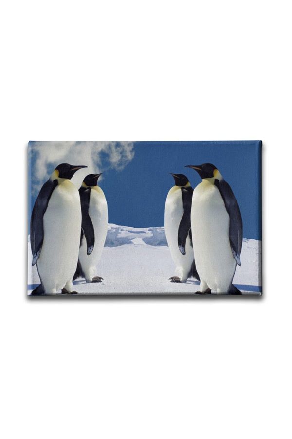 Desenlio-Penguin Canvas Painting 1