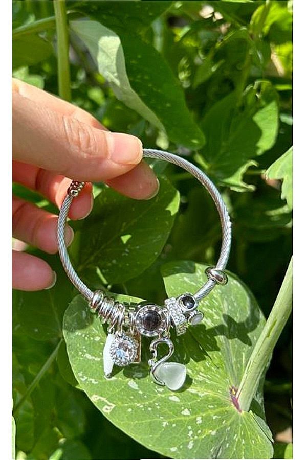 Pandora swan charm sales