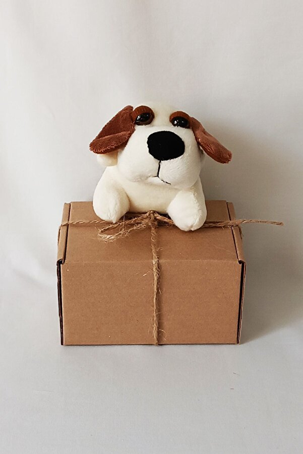 dudu kids Kraft Kutulu Peluş Beyaz Tombik Köpekli Anahtarlık 8 cm-Doğum Günü - Çanta Süsü - Oyuncak