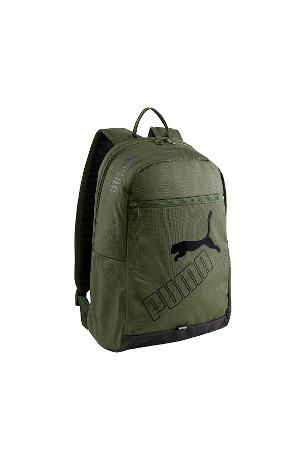 Puma phase ii online