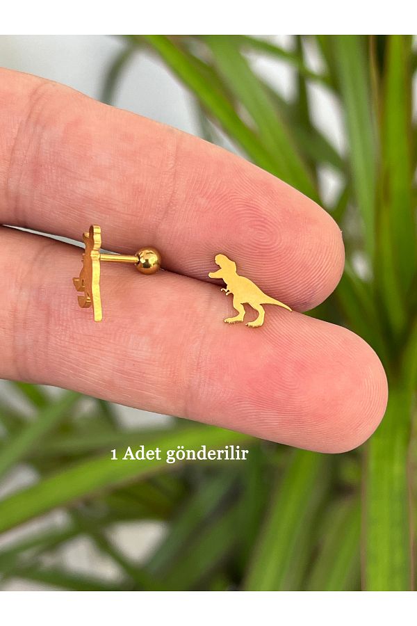 Kar nca Piercing Dinosaur Trex Ear Piercing Flat Conch Orbital Lip Steel Gold Earrings Trendyol