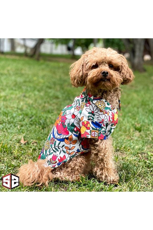 Floral dog shirt new arrivals