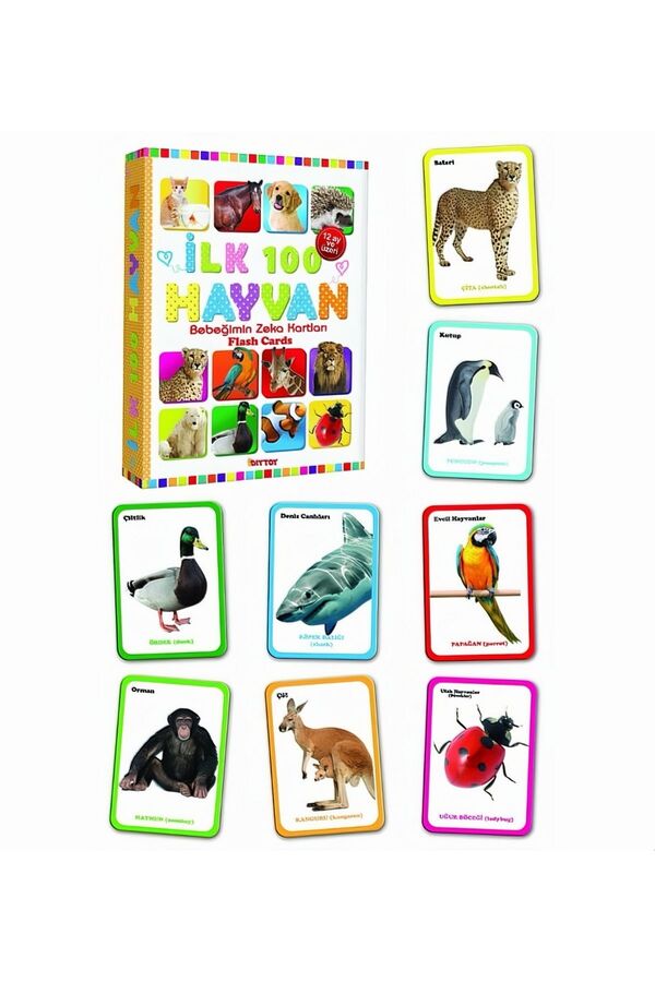 Apexma İlk 100 Hayvanlar Eğitici Zeka Kartları - Bebeğimin Resimli İlk Aktivite Zeka Kartları +12 Ay