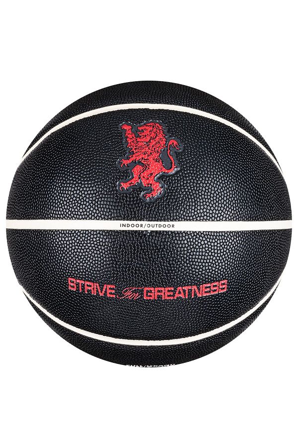 Nike lebron james basketball ball best sale