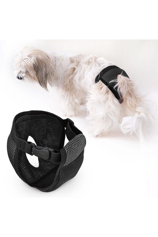 Dog menstrual pants clearance