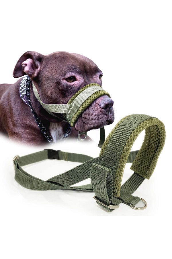 funnyandfurry Colorful Dog Mouthpiece Barking and Anti Traktion Dog Mouthpiece Training Collar Trendyol