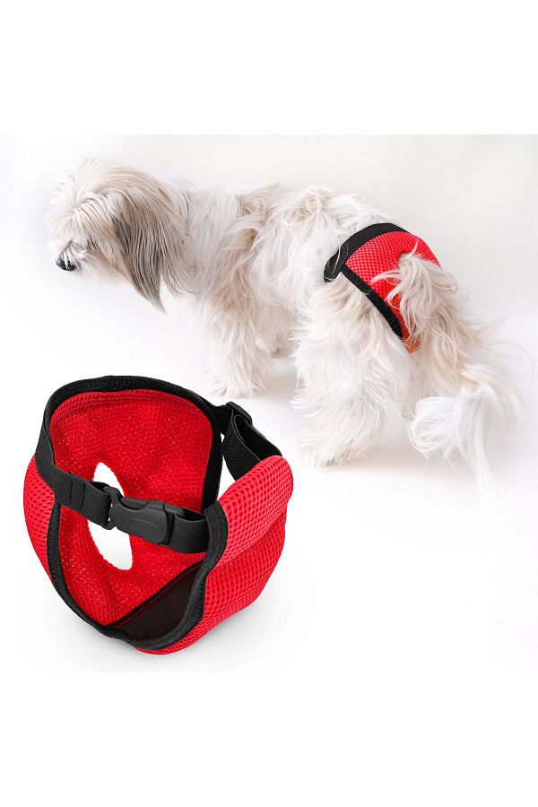 Dog menstrual pants top
