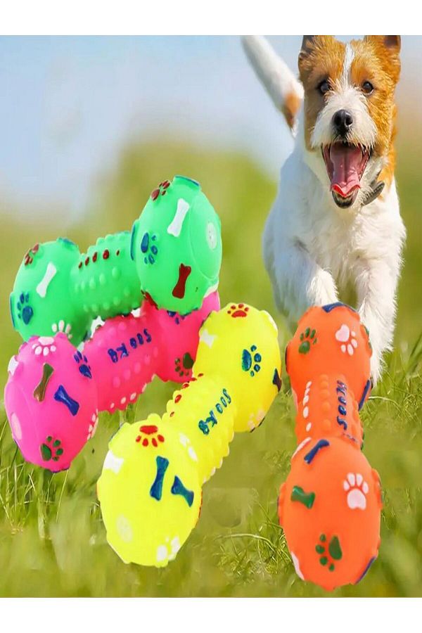 Dog biting balls discount