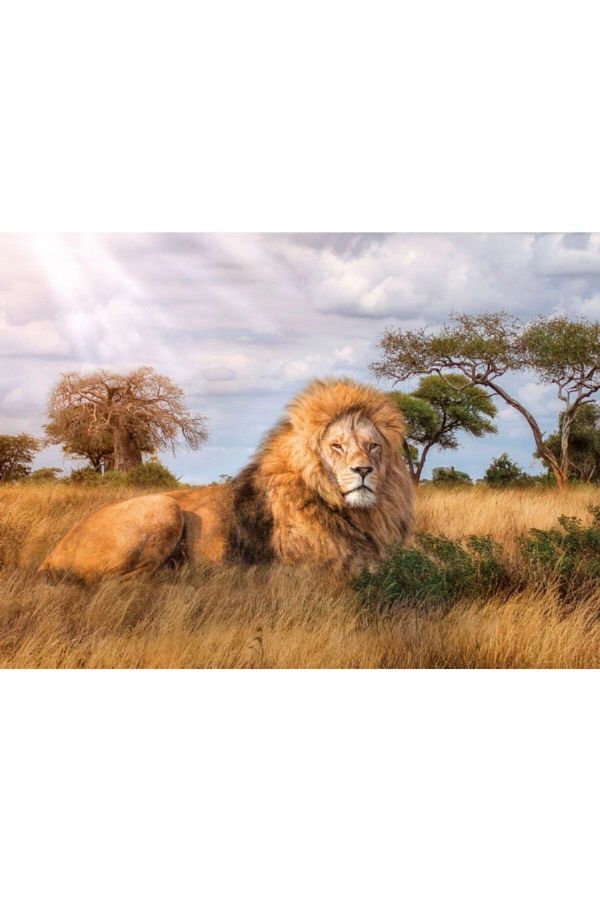 CLEMENTONI-Puzzle Clementoni - The King, 1000 piese 1