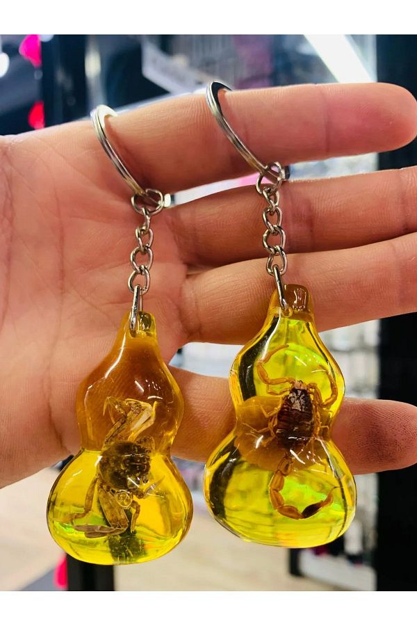 asilbaba-Set of 2 Fossil Scorpion and Crab Keychain 1