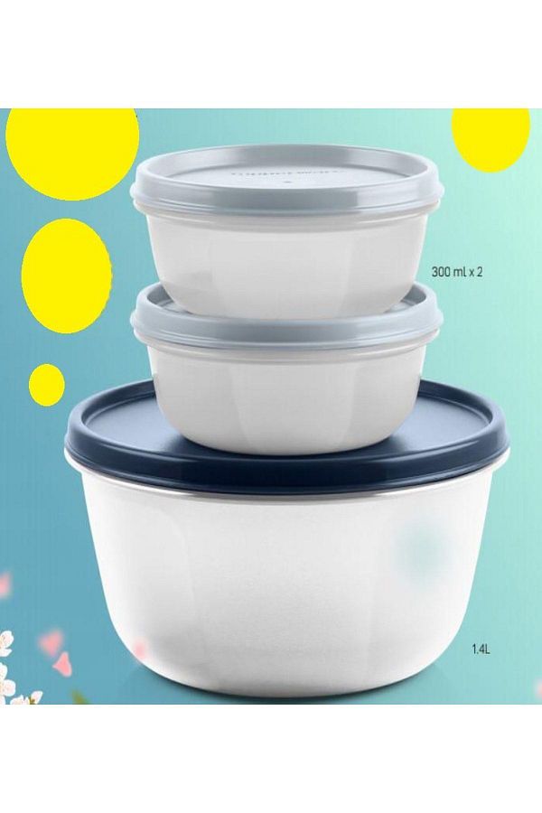 Tupperware-Storage and Service Container Set 1