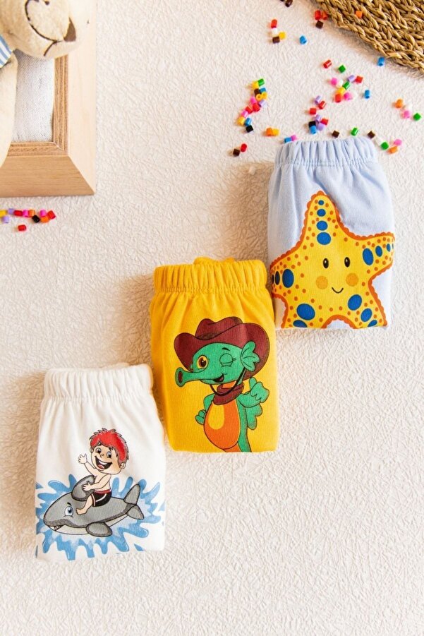 Bebelove Erkek Bebek 3'lü Erkek Bebek Alıştırma Külodu