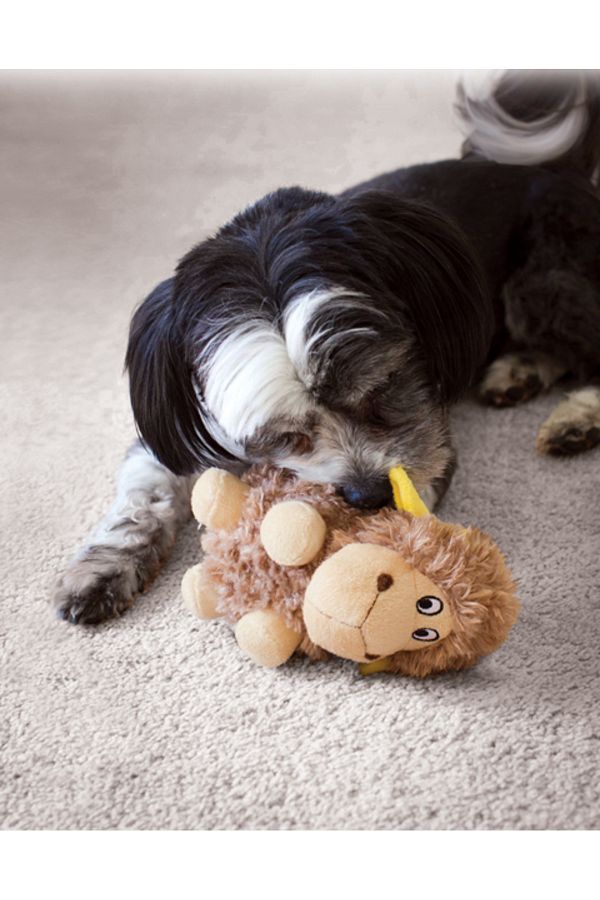 Kong sheep dog toy clearance