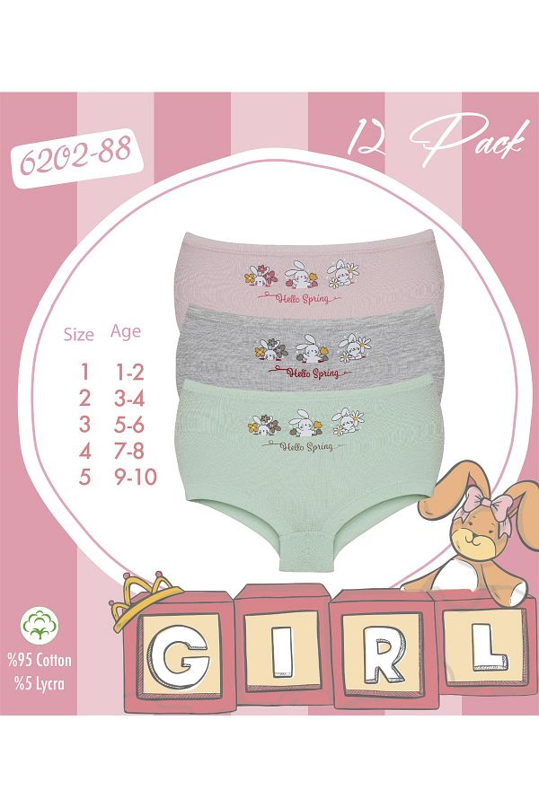 Ciciko-Girl's Cotton Bikini Panties - Pack of 3 6202 1