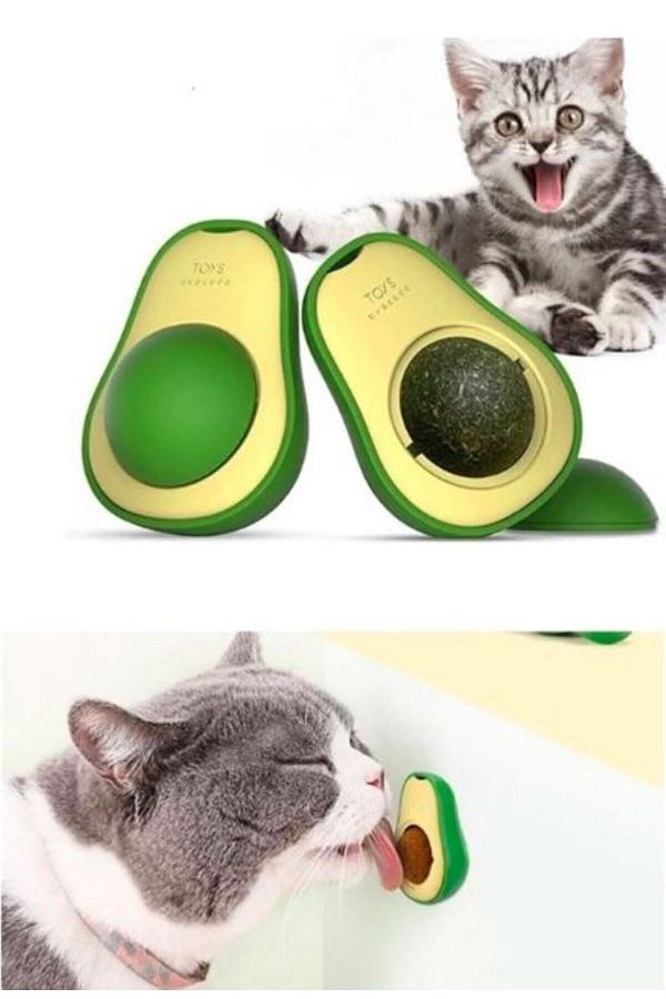 oteberi ev Avocado Cat Grass Ball Catnip Mint Toy Trendyol