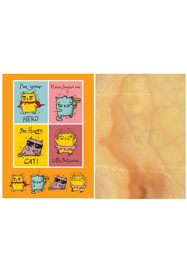 FLY COLOR-60 Sheets Lined A4 School Notebook - 2 Shiny Cover Patterns 1