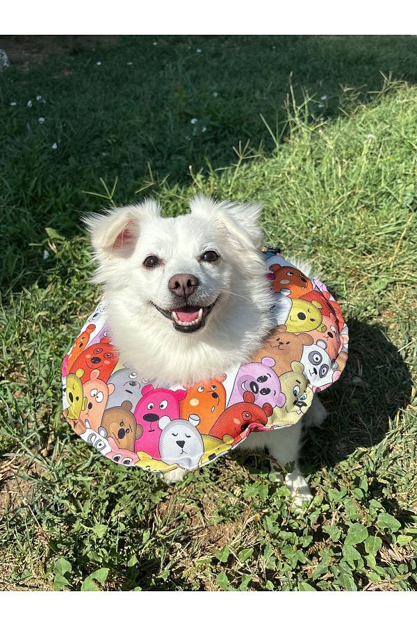 Petris-Elizabeth Collar Cat Dog Operation Neck Collar Pillow - Special Fabric Teddy Bears 1