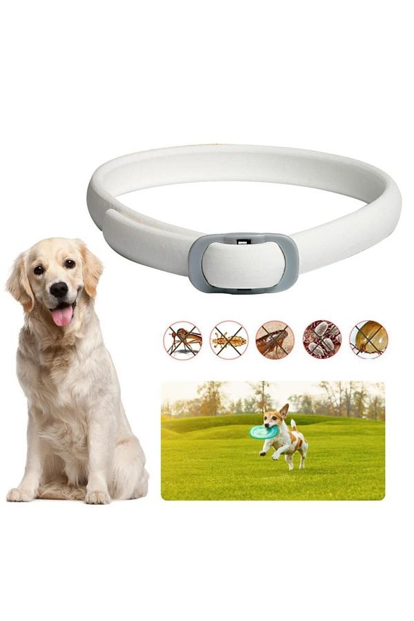 Adams Cat and Dog Flea Collar Trendyol