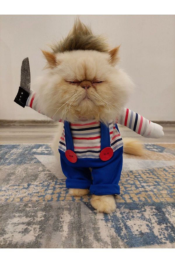 Killer cat costume outlet