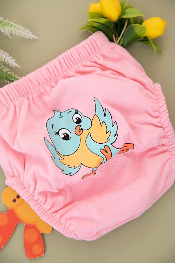 Bebelove Kız Bebek Alıştırma Külotu Pembe