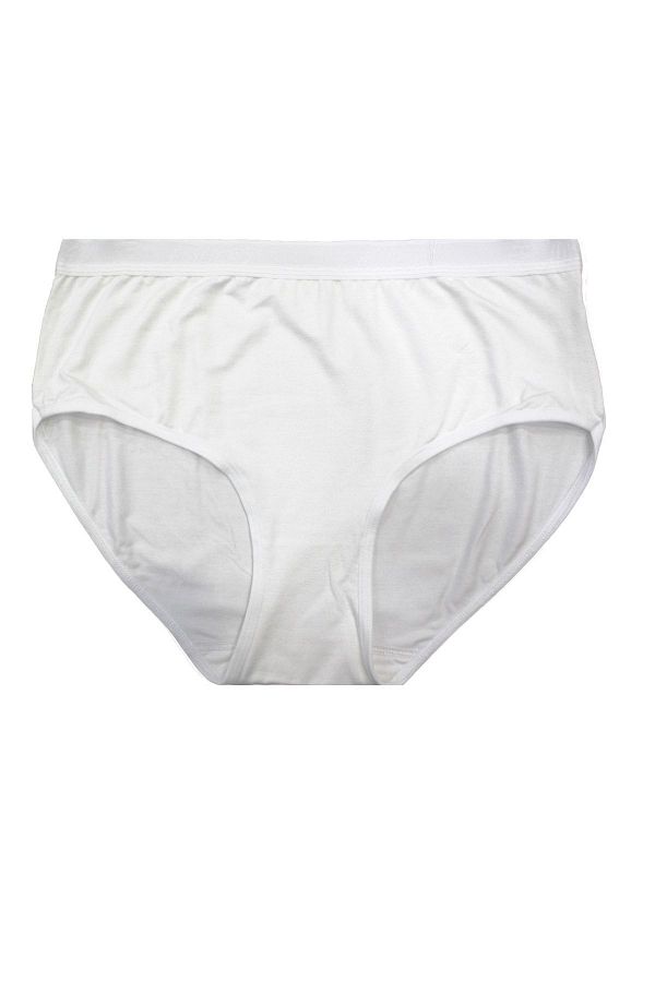 FSM1453-Women's Modal Thin Fabric High Waist Bato Slip Lycra Panties -3031 1