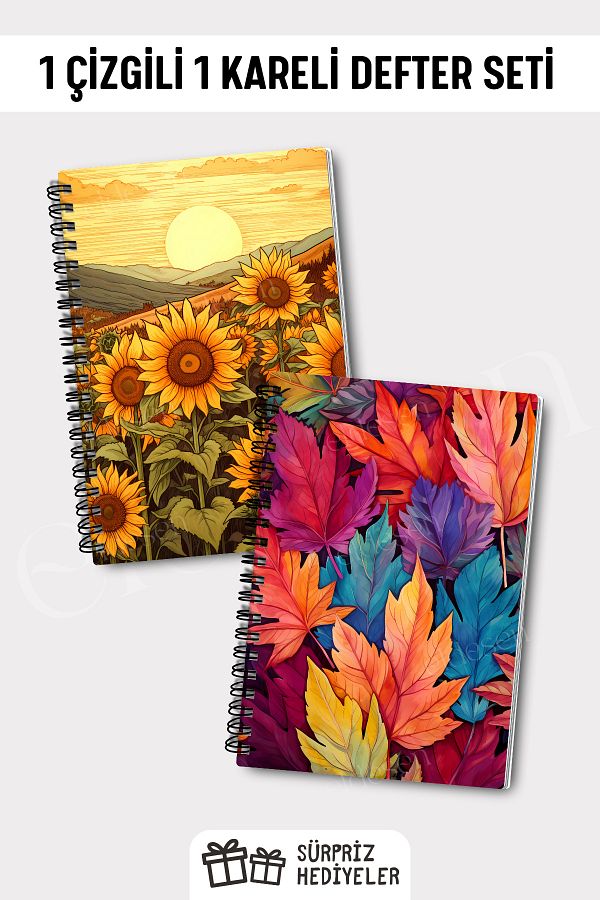 Eldesen Tasarım-A5 Size Set of 2 - Checked and Lined 50 Sheets 100 Pages Notebook 1