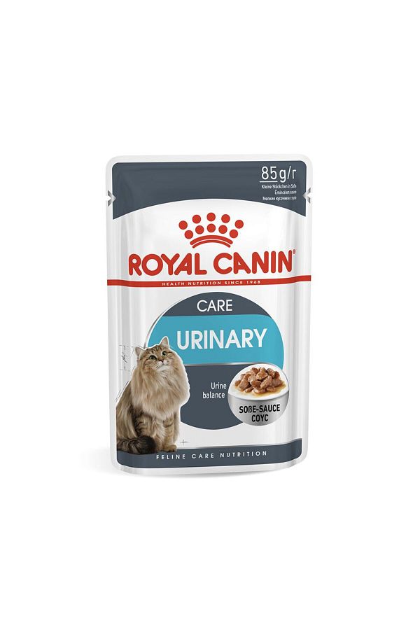 Royal canin cat urinary wet food outlet