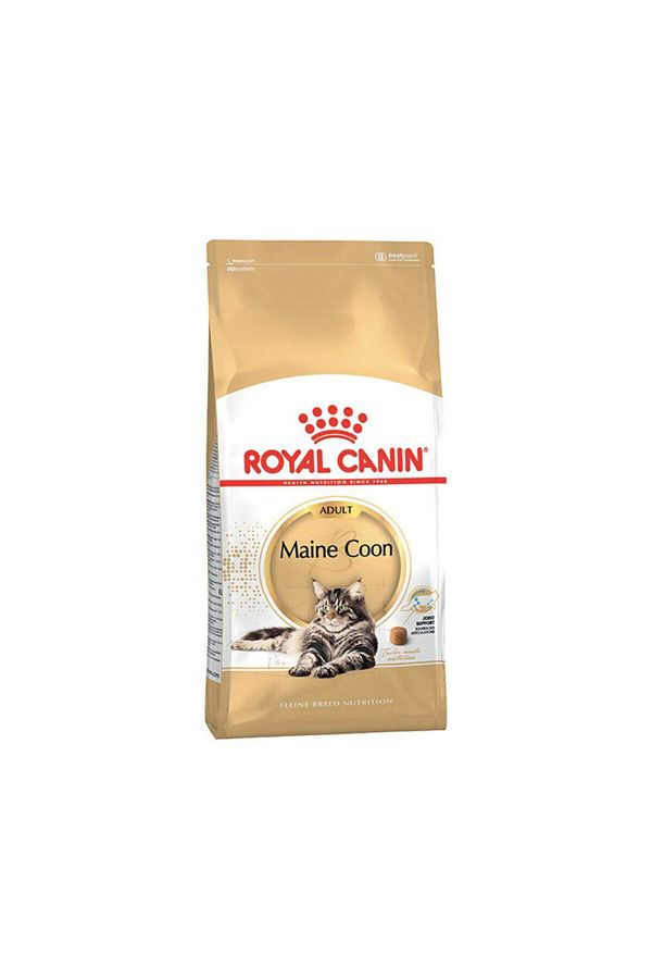 Royal Canin Maine Coon Adult Cat Food 2 Kg Trendyol