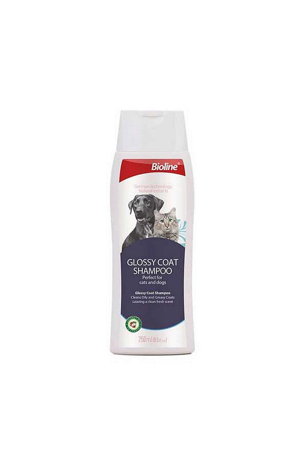 Bioline dog shampoo top