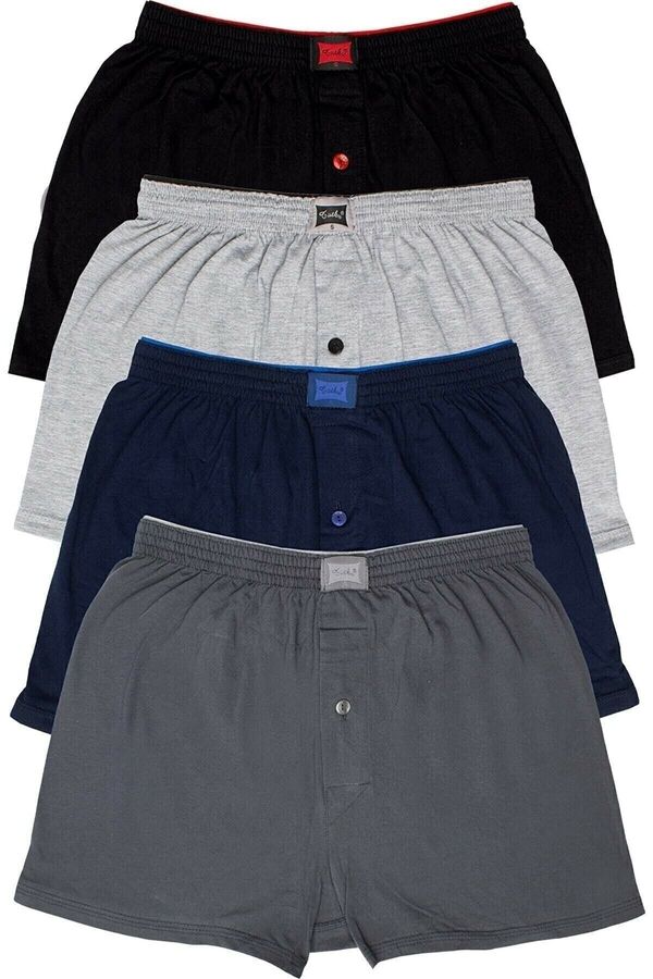 Altun-Passion Boxer 1