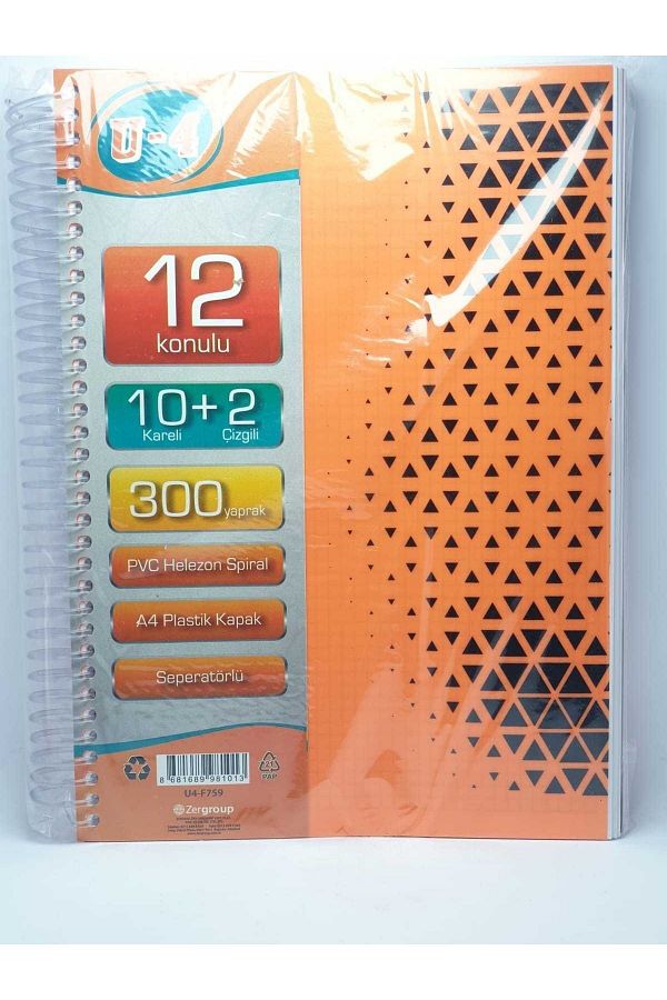 Janissary-دفتر ملاحظات مكون من 300 ورقة مقاس A4 - 8 4 أقسام و8 مربع و4 خطوط 1