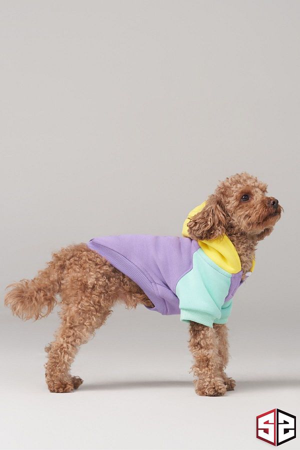 Toy breed dog clothes cheap